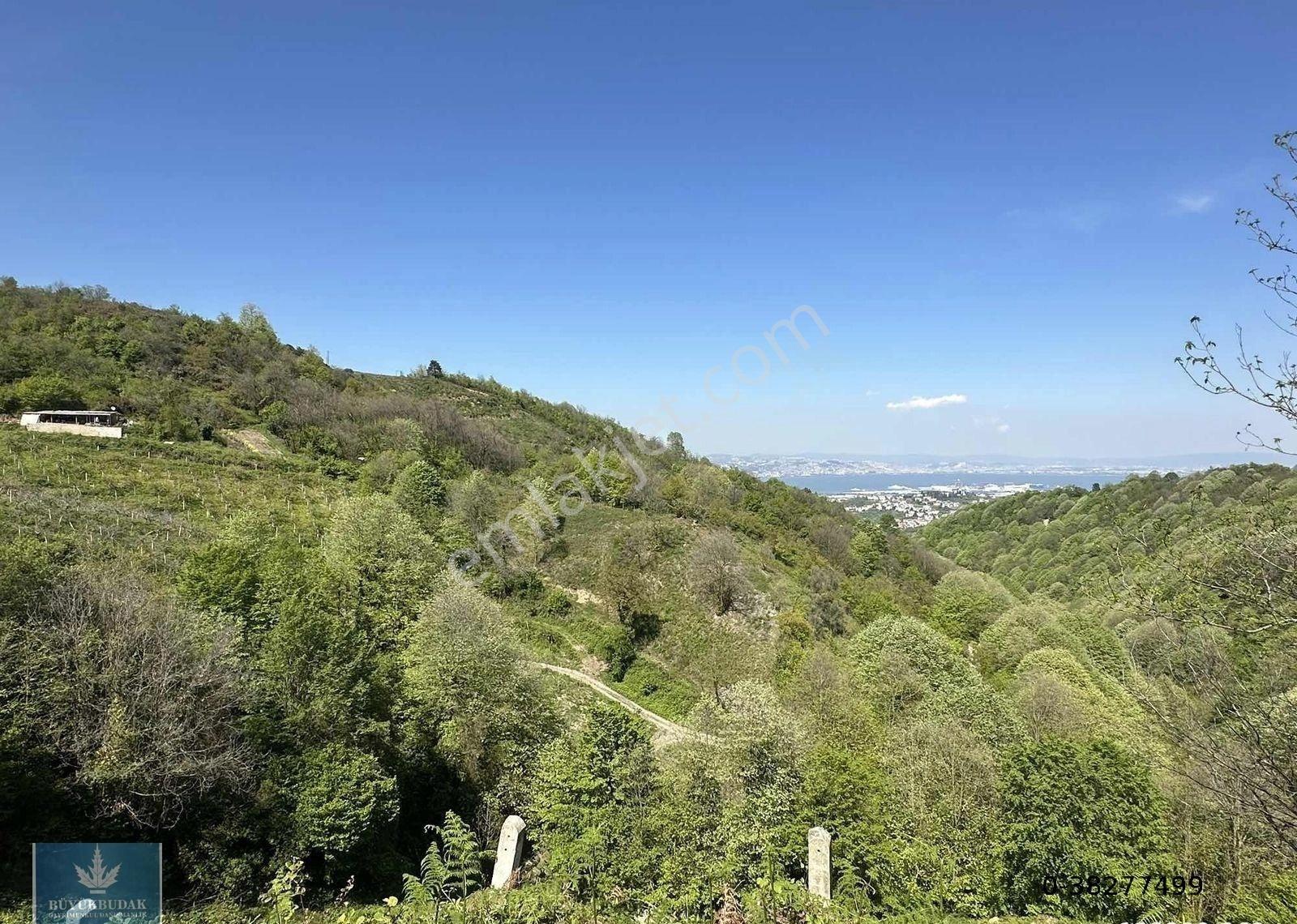 Tarihi Saraylı Köyünde Satılık 5889,33 M2 Müstakil Parsel - Görsel 14