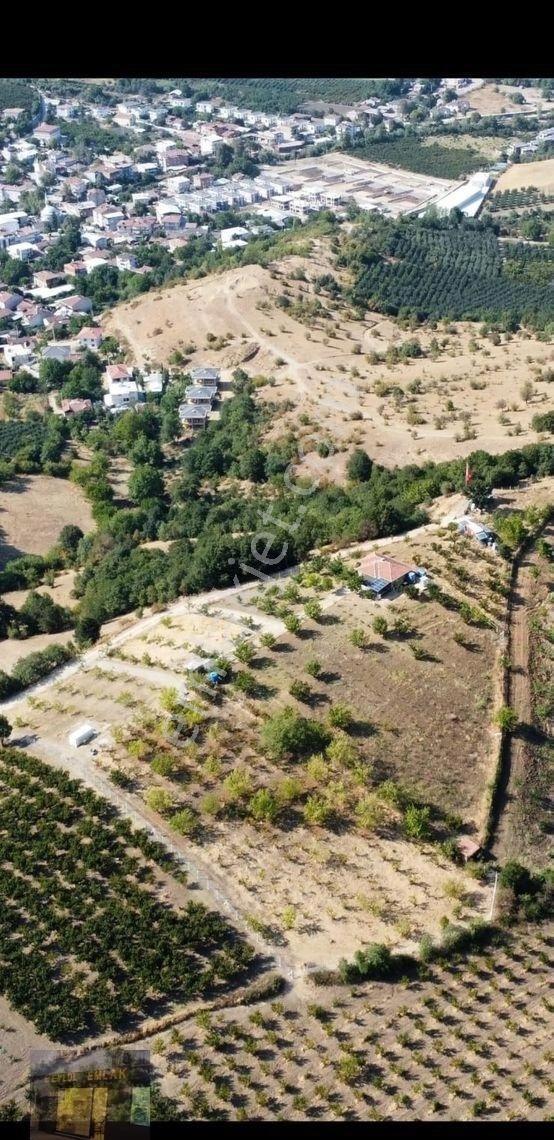 Bursa İnegöl İsaören Mahallesi’nde Satılık Yatırımlık Arazi - Görsel 5