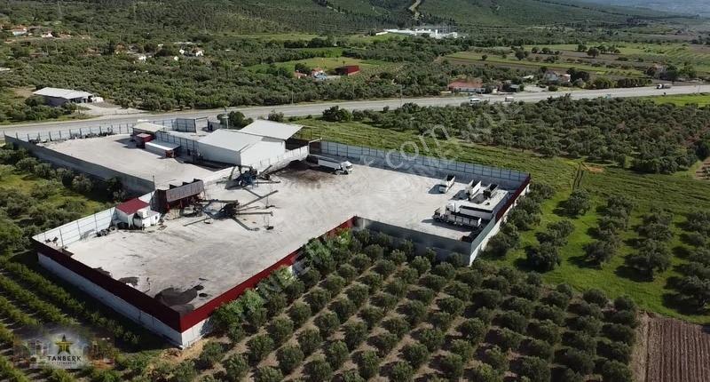 ^^tanberk Den Kiralık 12.500 M2 Saha İçinde 800 M2 Kapalı Depo^^ - Görsel 10