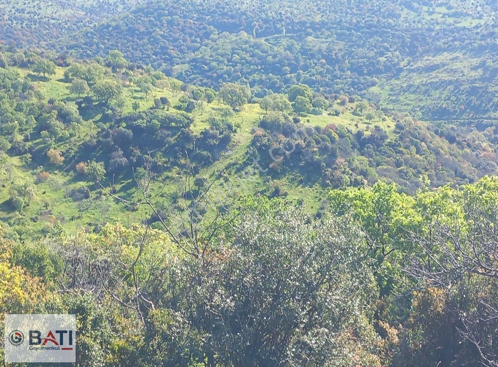 Torbalı Batı Gayrimenkul Den Satılık 80000 M2 Tarla - Görsel 23