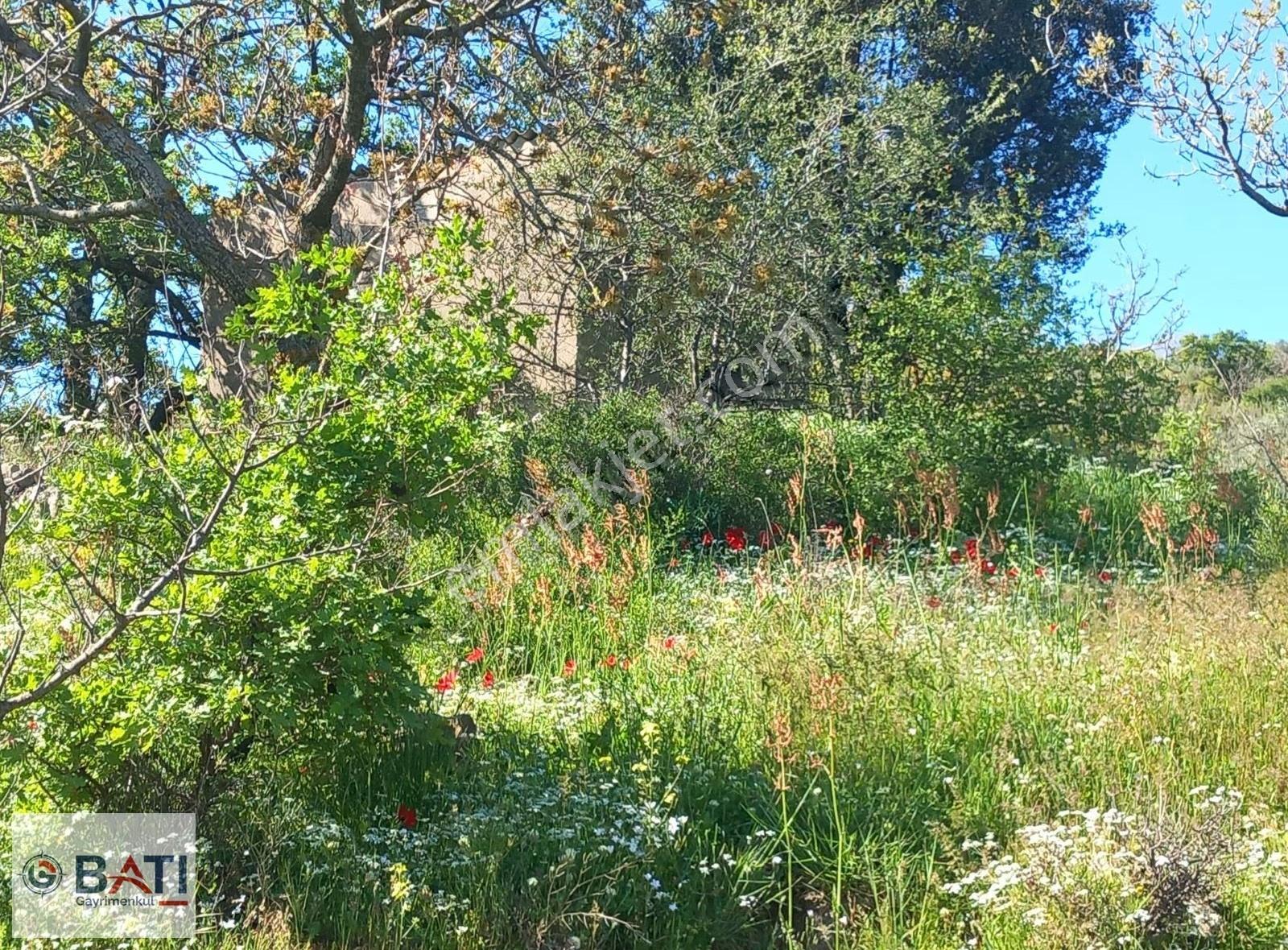 Torbalı Batı Gayrimenkul Den Satılık 80000 M2 Tarla - Görsel 3