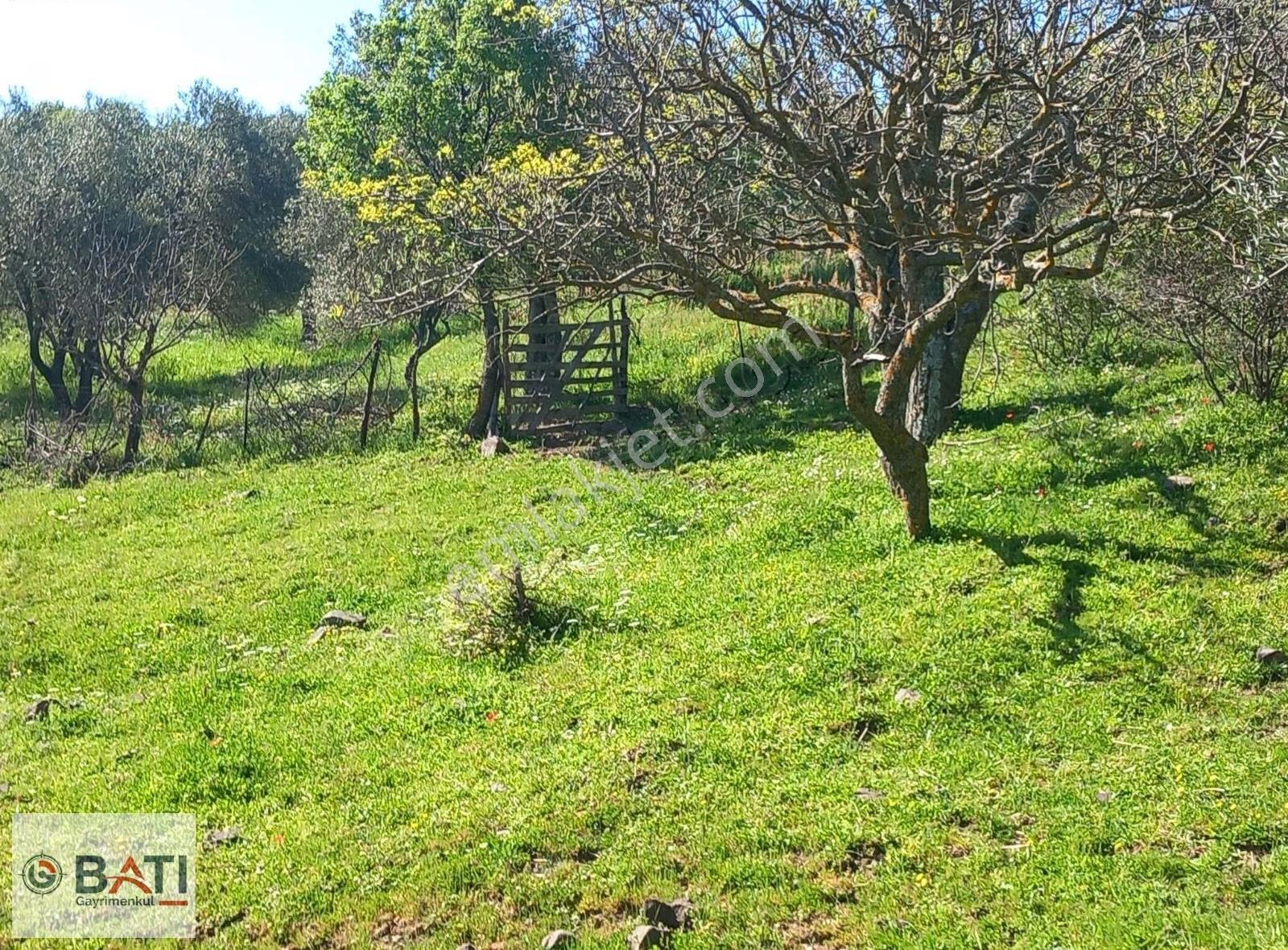 Torbalı Batı Gayrimenkul Den Satılık 80000 M2 Tarla - Görsel 8