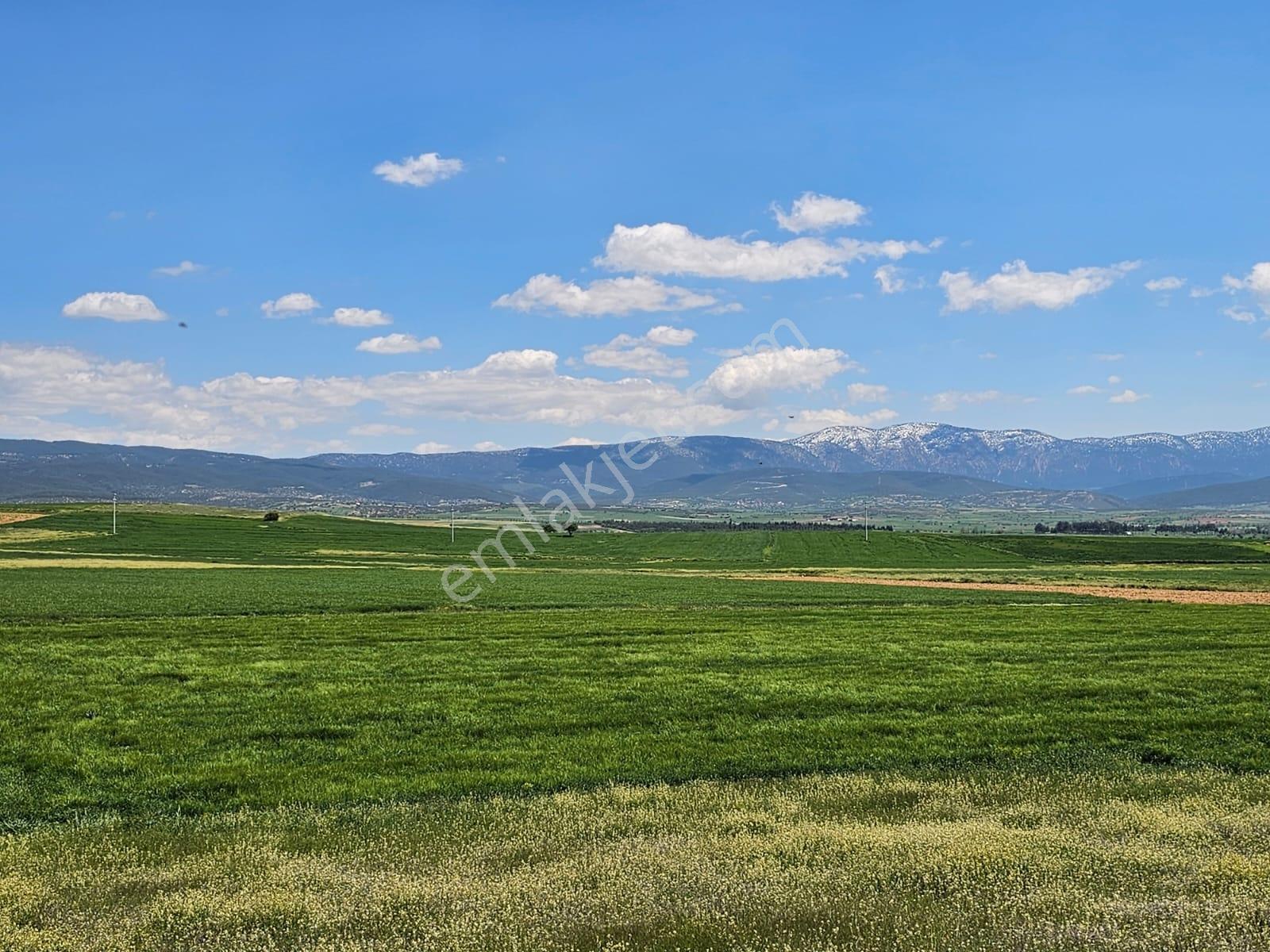 Afyonkarasihar Başmakçida Merkeze Yakın Kupon Tarla - Görsel 4
