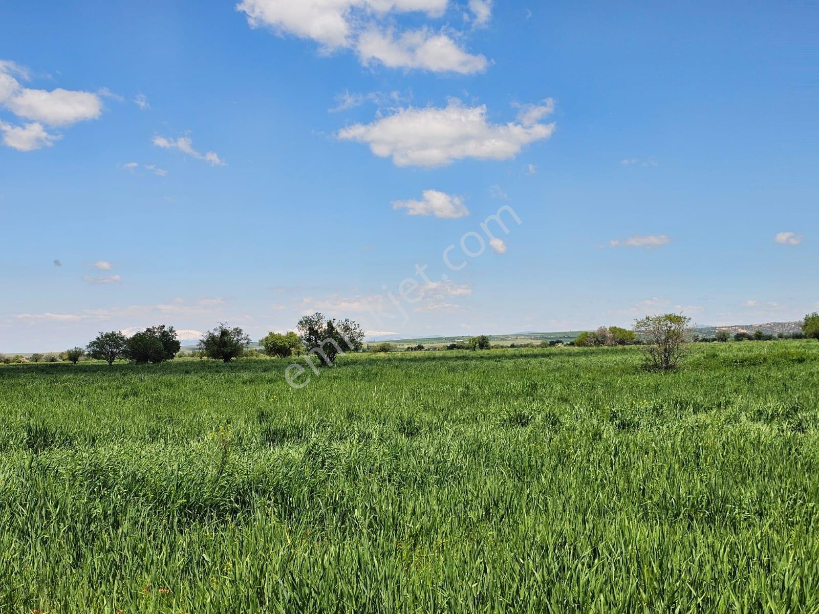 Afyon Başmakçı Merkeze Yakın Yatırımlık Müstakil Parsel - Görsel 21