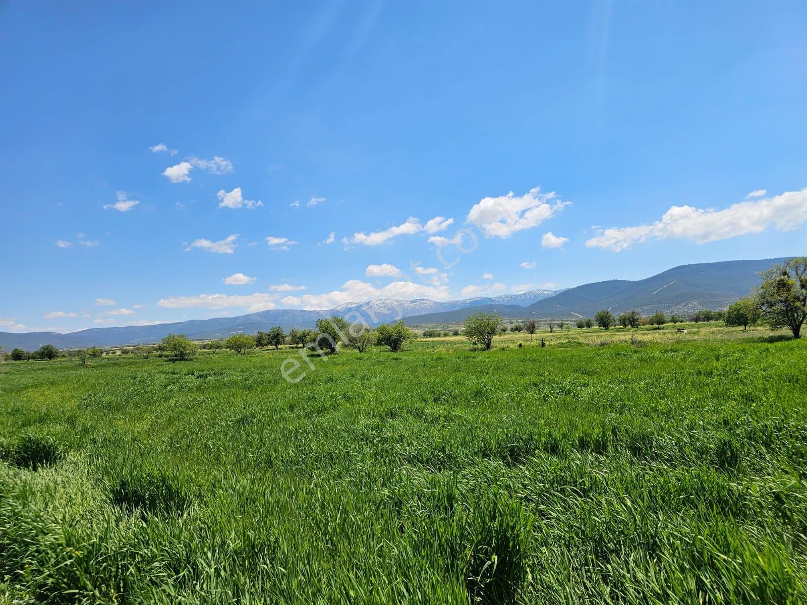 Afyon Başmakçı Merkeze Yakın Yatırımlık Müstakil Parsel - Görsel 20