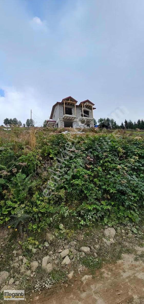 Elegant Life İle Trabzon'da Doğal Yaşam İçin Başlangıç Vakti.. - Görsel 9
