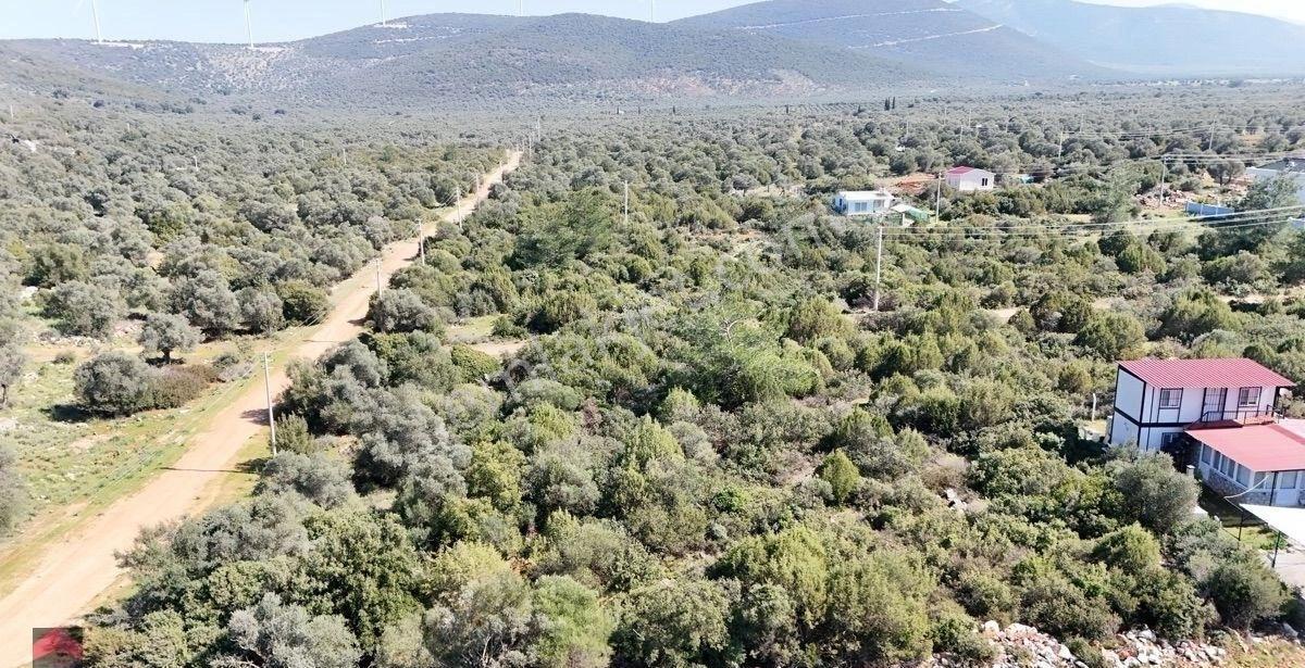 Didim Kardelen De Satılık 300 M2 İmarlı Müstakil Arsa - Görsel 2