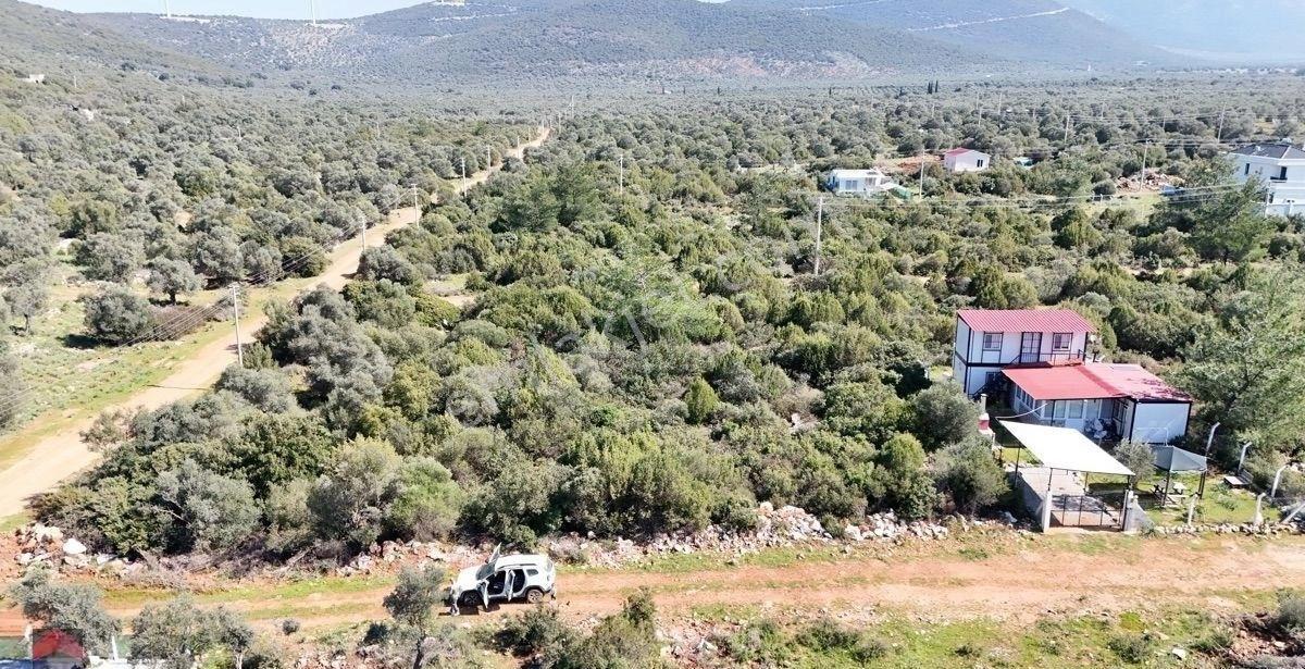 Didim Kardelen De Satılık 300 M2 İmarlı Müstakil Arsa - Görsel 6