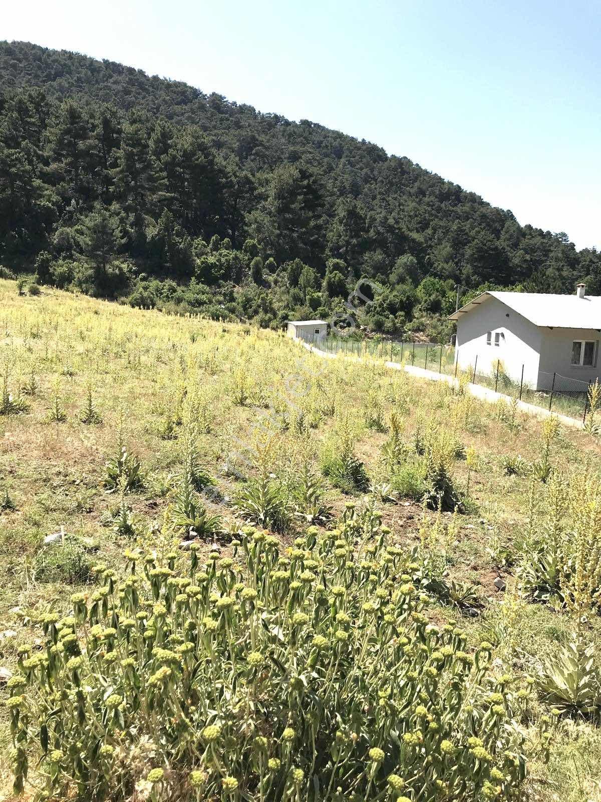 Satılık Koruköyde 828 M2 Tarla - Görsel 4