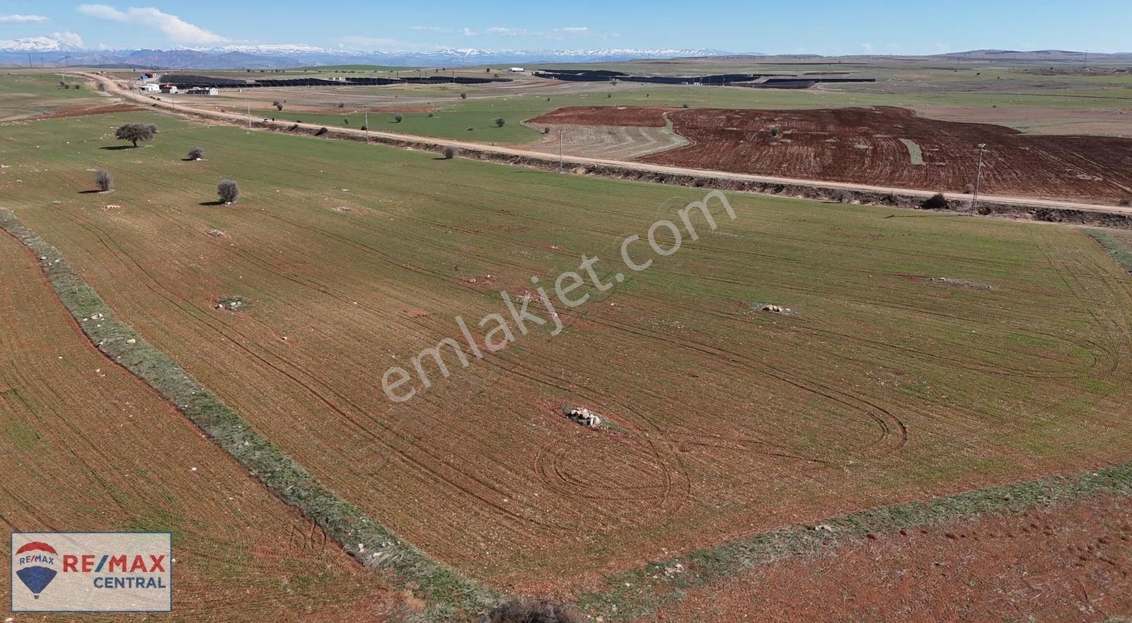 Bademkaya Köyünde 45.695 M2 Tek Tapu-yol Kenarı Satılık Tarla - Görsel 28