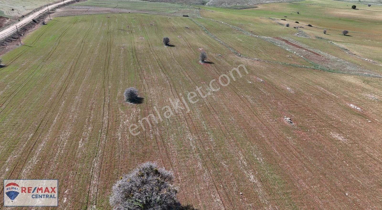 Bademkaya Köyünde 45.695 M2 Tek Tapu-yol Kenarı Satılık Tarla - Görsel 35