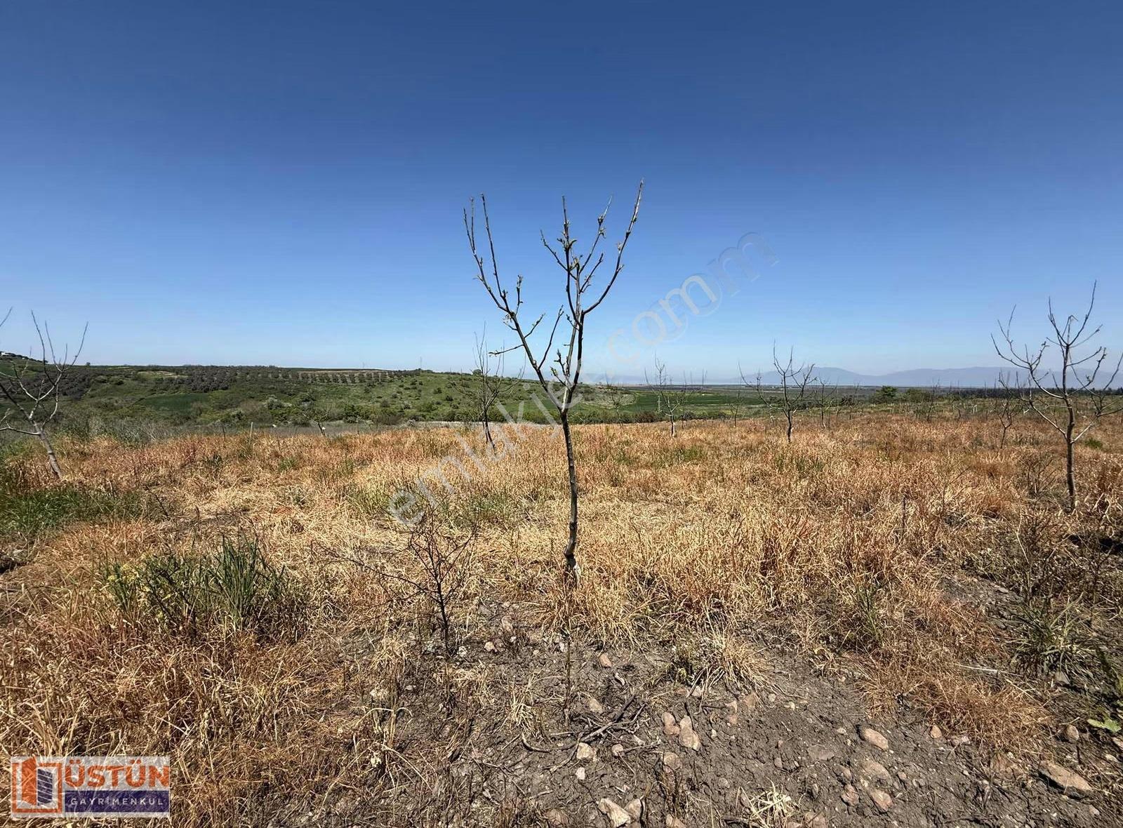 **denizi Gören 9348m2 Satılık Cevizlik** - Görsel 19