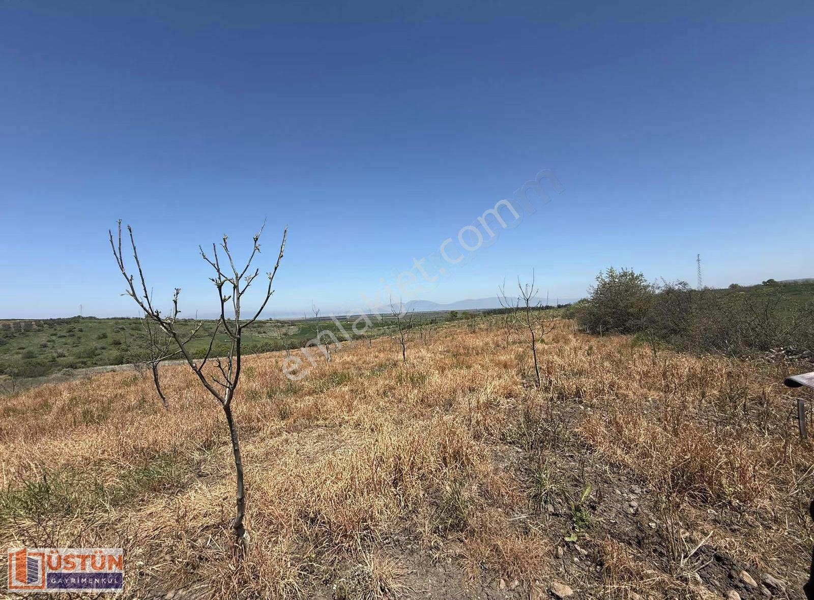 **denizi Gören 9348m2 Satılık Cevizlik** - Görsel 18