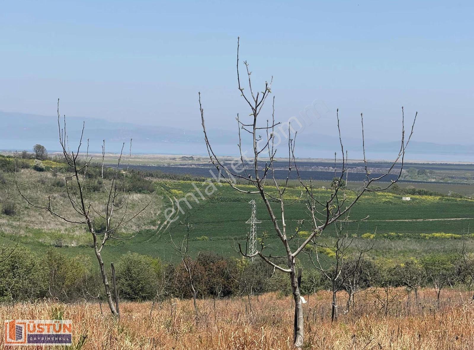 **denizi Gören 9348m2 Satılık Cevizlik** - Görsel 15
