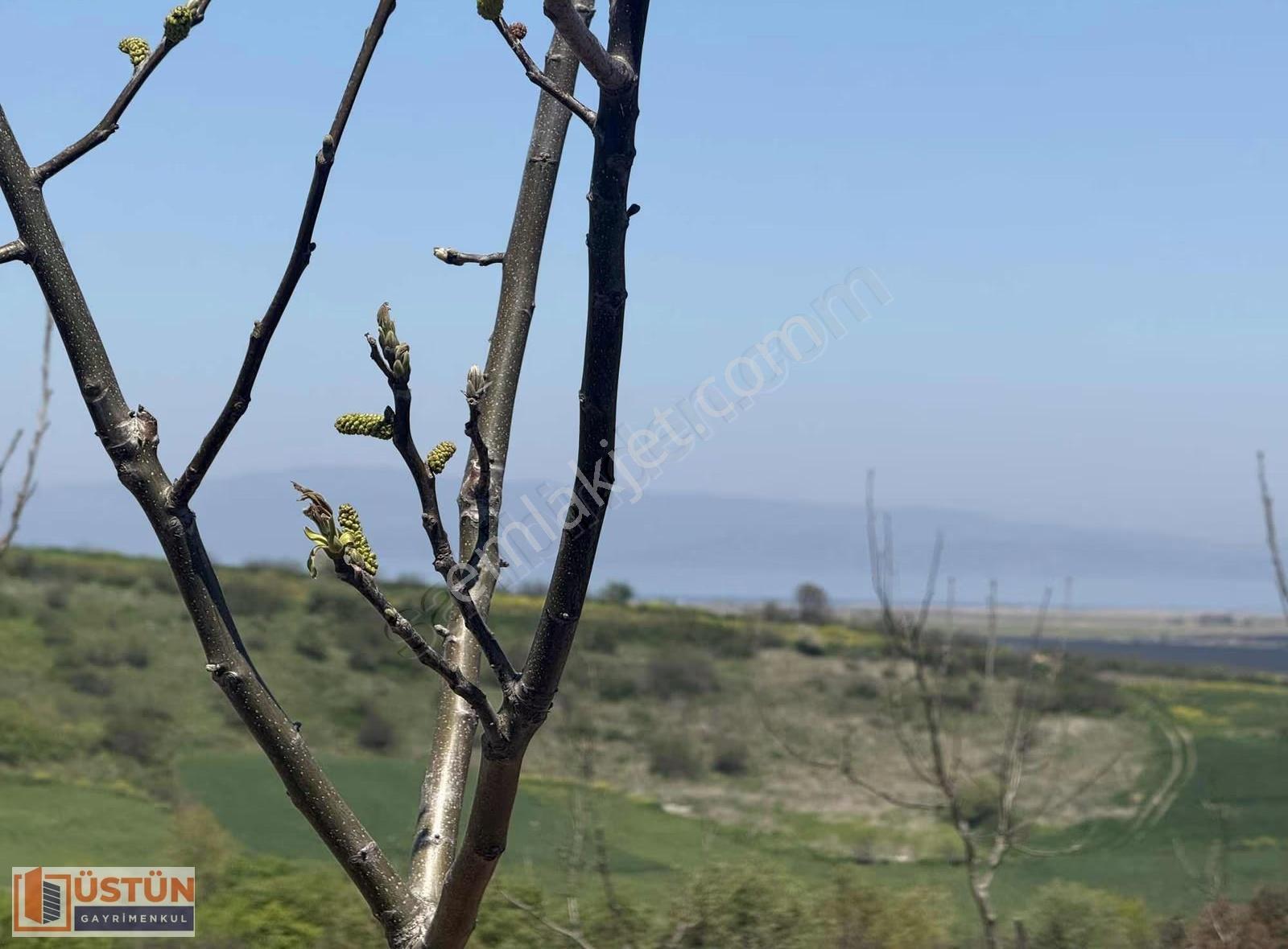 **denizi Gören 9348m2 Satılık Cevizlik** - Görsel 8