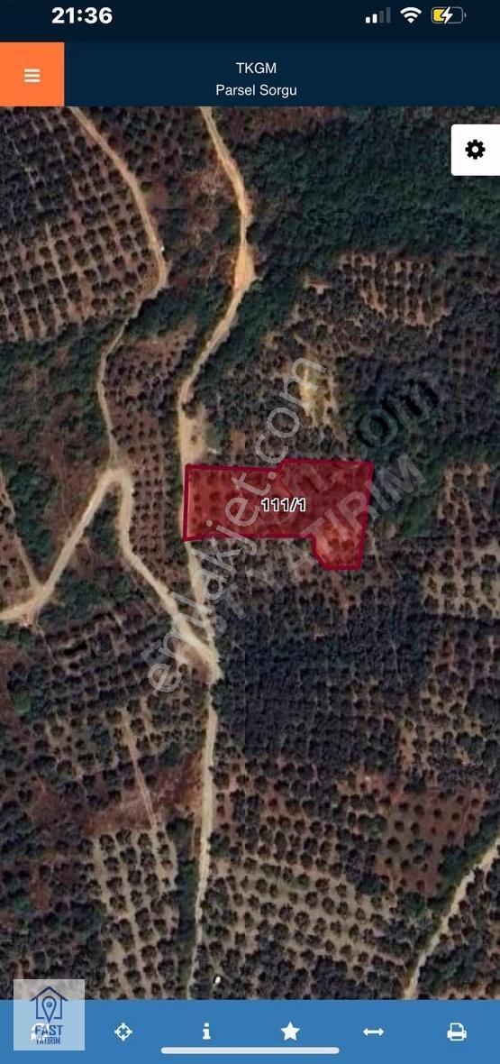 Orhangazi Çakırlı Da Satılık Tarla