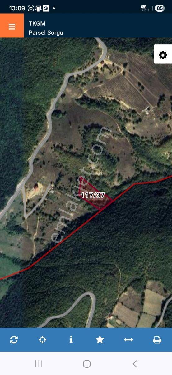İlkadım Akgöl Mah Acil Satılık Tarla Düşük Fiyat - Görsel 3