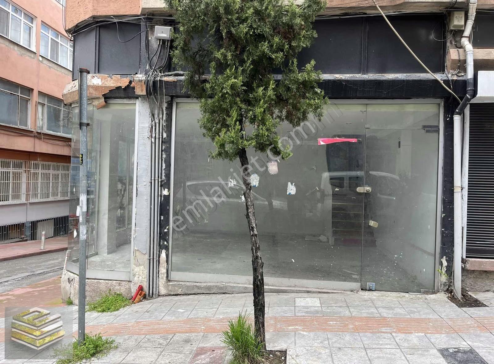 Ekipten Bir Dükkan Fiyatına 2 Dükkan Bacalı Ve Ruhsatlı - Görsel 2