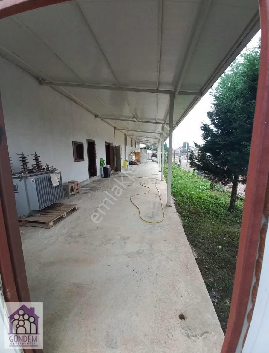 Gündem Gayrimenkul'den Sapanca Yanık'ta 650 M2 Kiralık Depo - Görsel 6