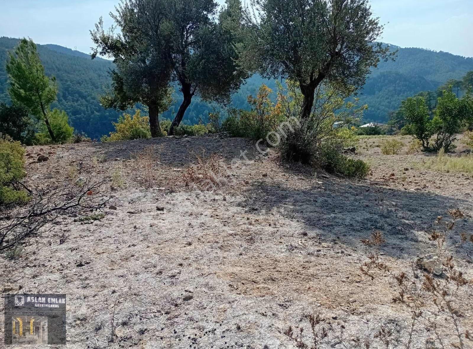 Aslan Emlak'tan Uygun Fiyatlı 9.753 M2 Tarla