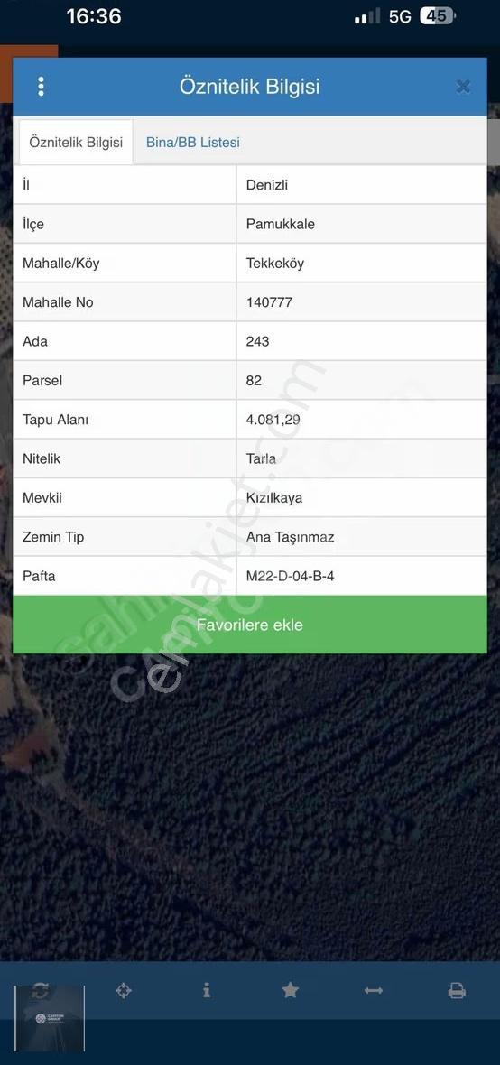 Bağbaşı Tekkeköyde Satılık Zeytinlik - Görsel 4