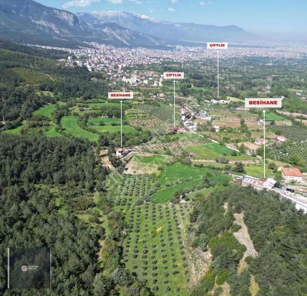 Bağbaşı Tekkeköyde Satılık Zeytinlik - Görsel 3