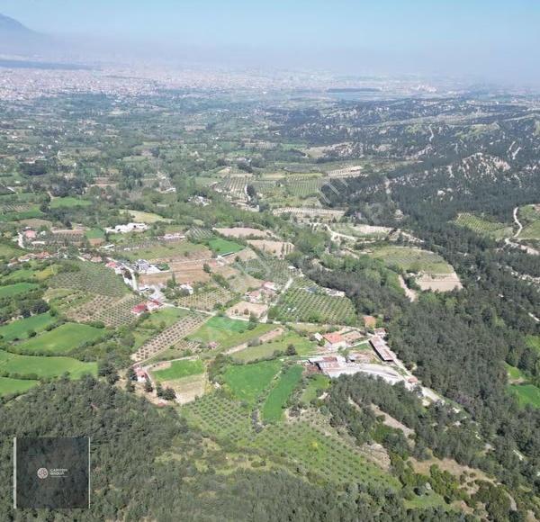 Bağbaşı Tekkeköyde Satılık Zeytinlik - Görsel 5