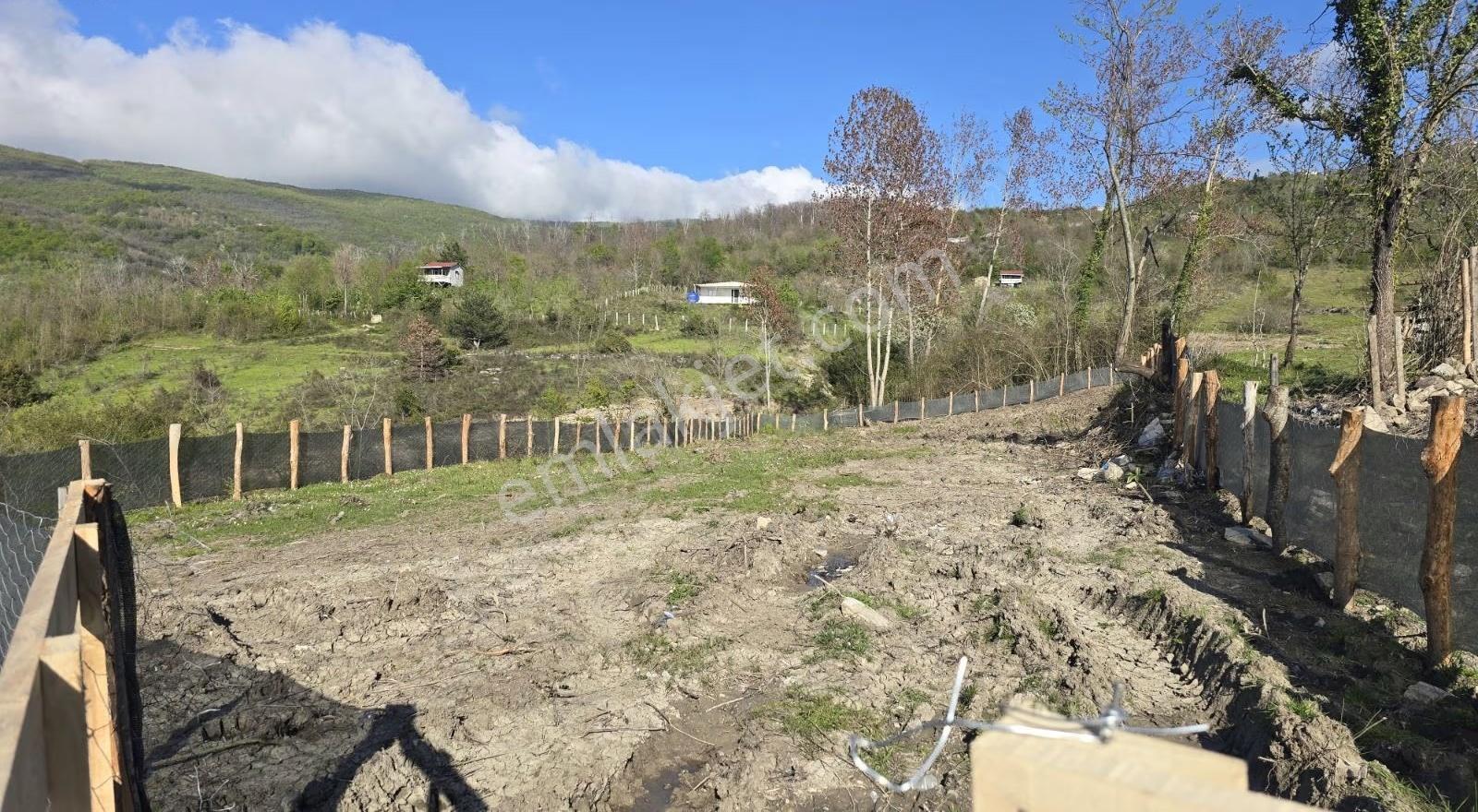 Cide İlkim Emlak'tan Konut İmarlı Satılık Arsa - Görsel 5