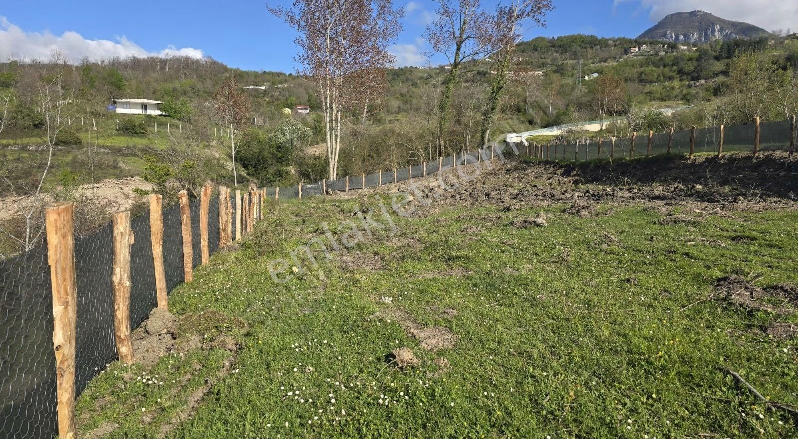Cide İlkim Emlak'tan Konut İmarlı Satılık Arsa - Görsel 3