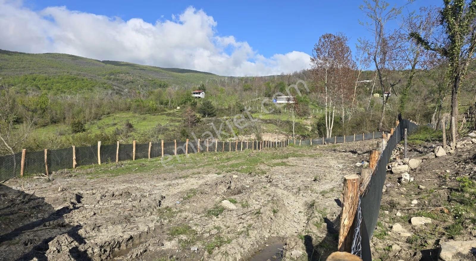 Cide İlkim Emlak'tan Konut İmarlı Satılık Arsa
