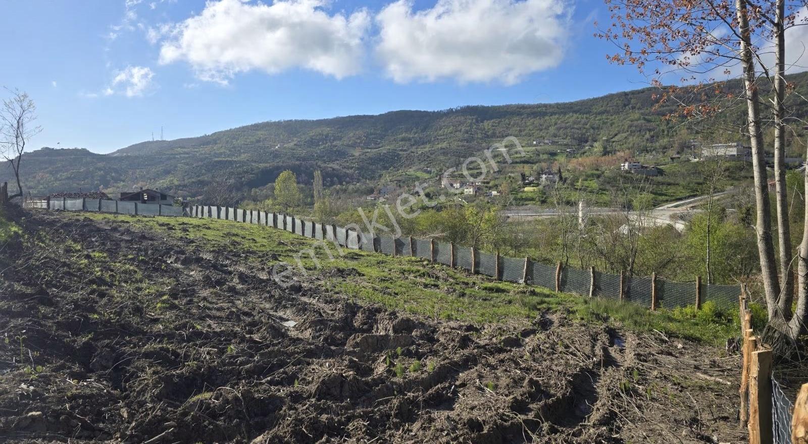 Cide İlkim Emlak'tan Konut İmarlı Satılık Arsa - Görsel 10