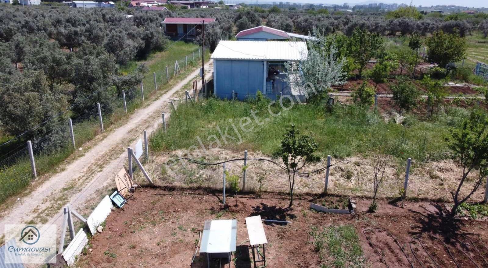 Cumaovası Emlaktan Satılık Oğlananası Yola Yakın 300m2 Hisse - Görsel 20