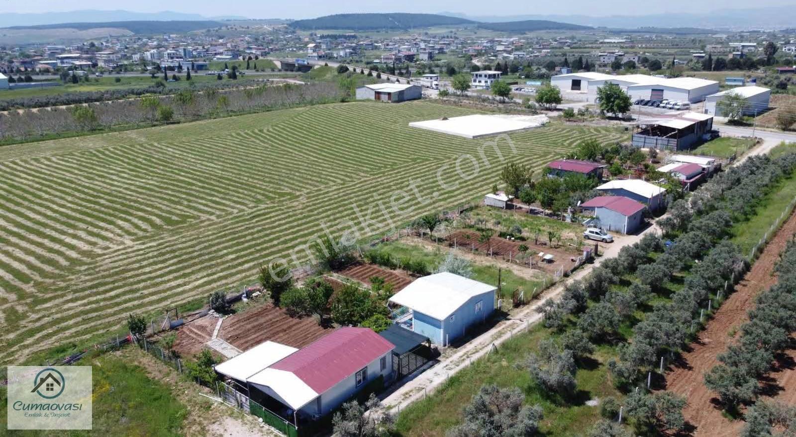 Cumaovası Emlaktan Satılık Oğlananası Yola Yakın 300m2 Hisse - Görsel 7
