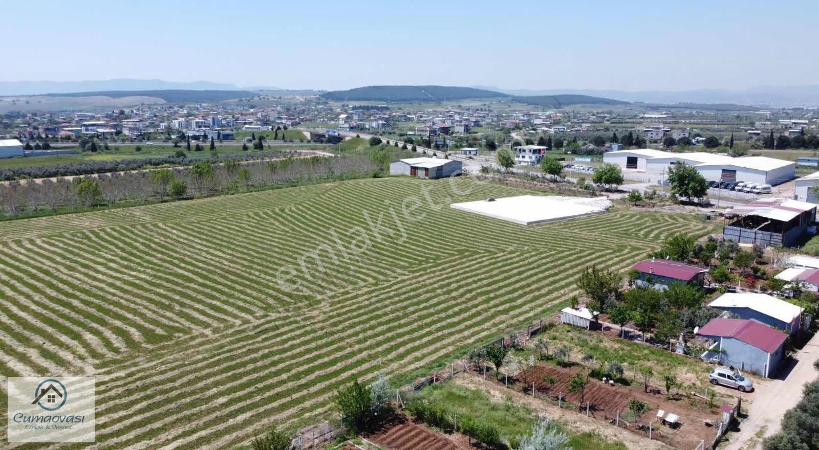 Cumaovası Emlaktan Satılık Oğlananası Yola Yakın 300m2 Hisse - Görsel 17