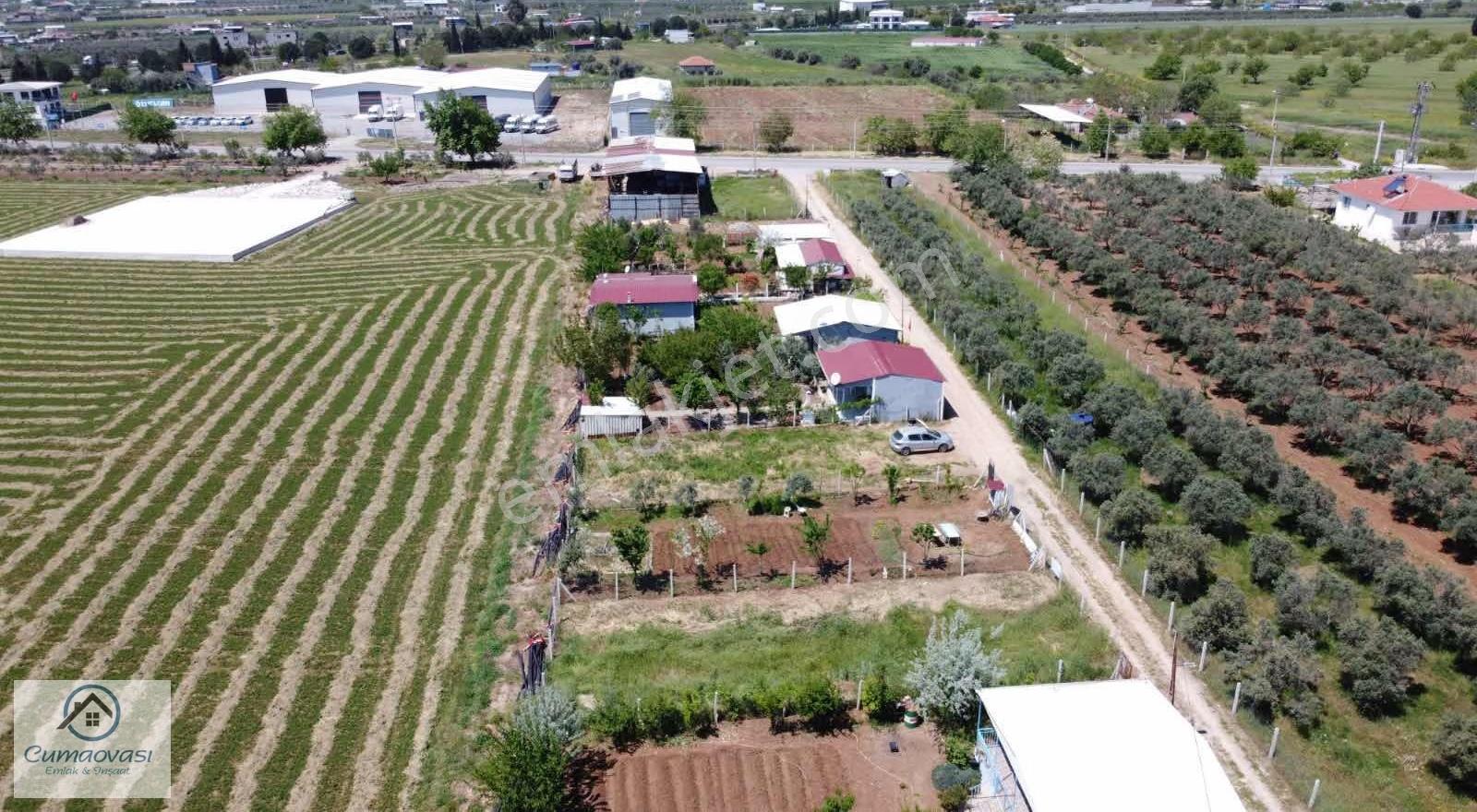 Cumaovası Emlaktan Satılık Oğlananası Yola Yakın 300m2 Hisse - Görsel 14