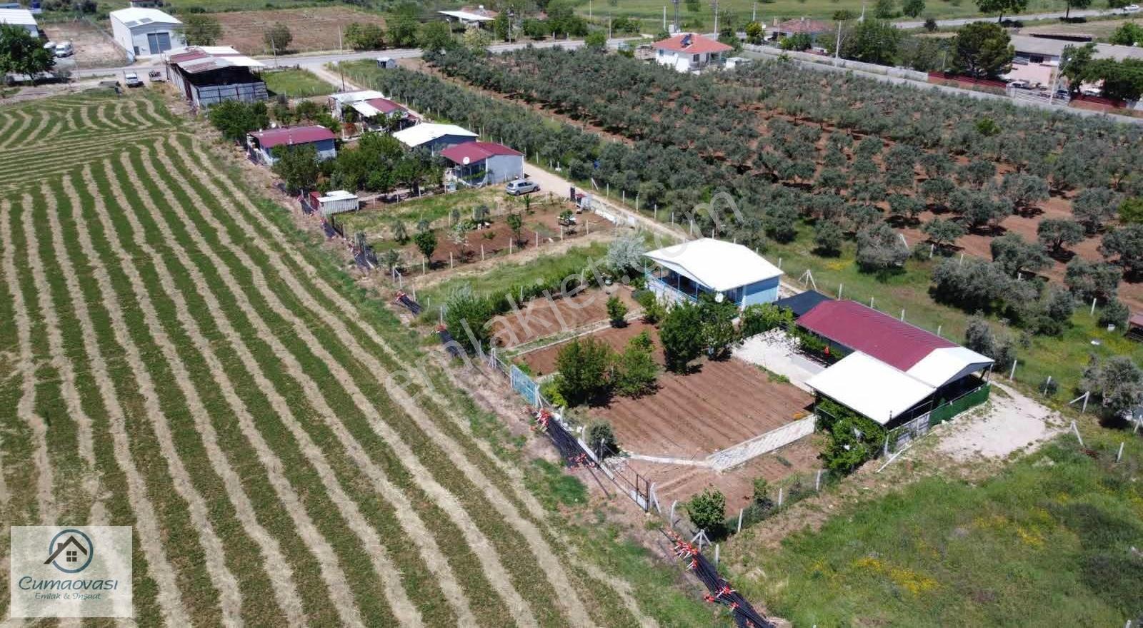 Cumaovası Emlaktan Satılık Oğlananası Yola Yakın 300m2 Hisse - Görsel 19