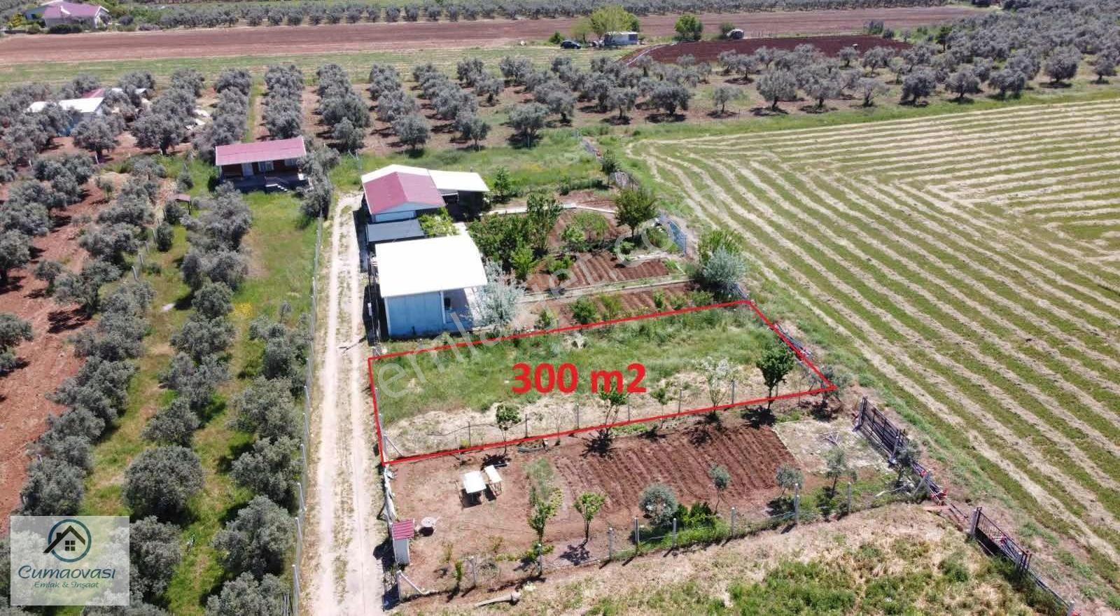 Cumaovası Emlaktan Satılık Oğlananası Yola Yakın 300m2 Hisse - Görsel 8