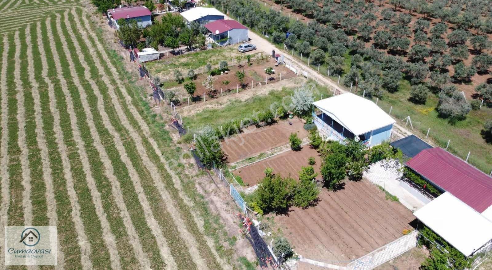 Cumaovası Emlaktan Satılık Oğlananası Yola Yakın 300m2 Hisse - Görsel 13