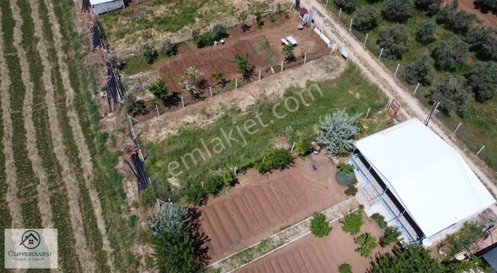 Cumaovası Emlaktan Satılık Oğlananası Yola Yakın 300m2 Hisse