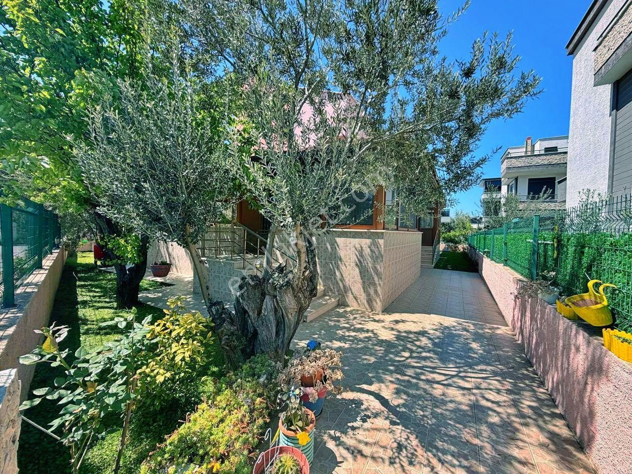 Uytundan Burhaniye İskele'de Denize 300 Metre Tam Müstakil Villa - Görsel 19