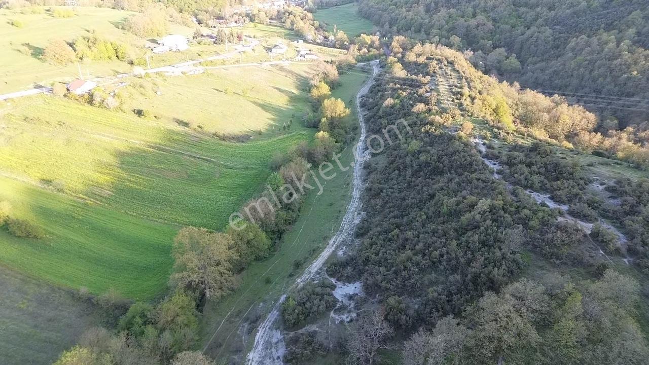 İstanbul' A 1 Saat Uzaklıkta Orman Cepheli Harika Bir Arazi - Görsel 8