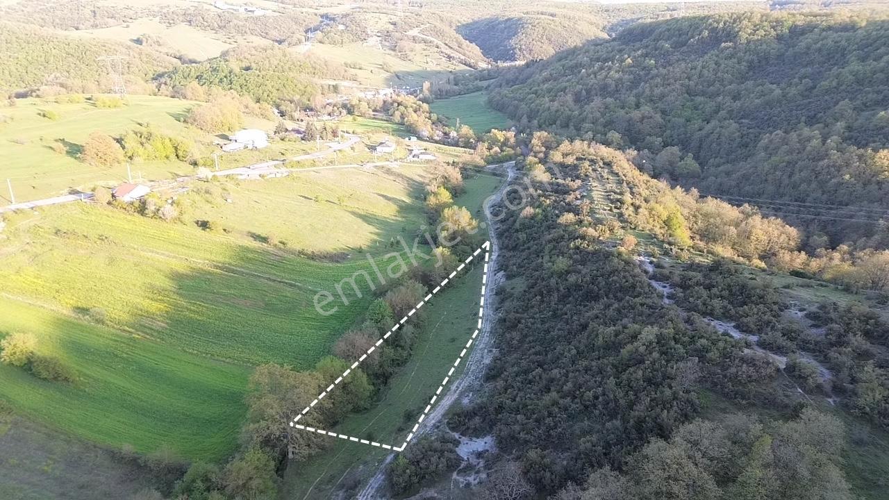 İstanbul' A 1 Saat Uzaklıkta Orman Cepheli Harika Bir Arazi