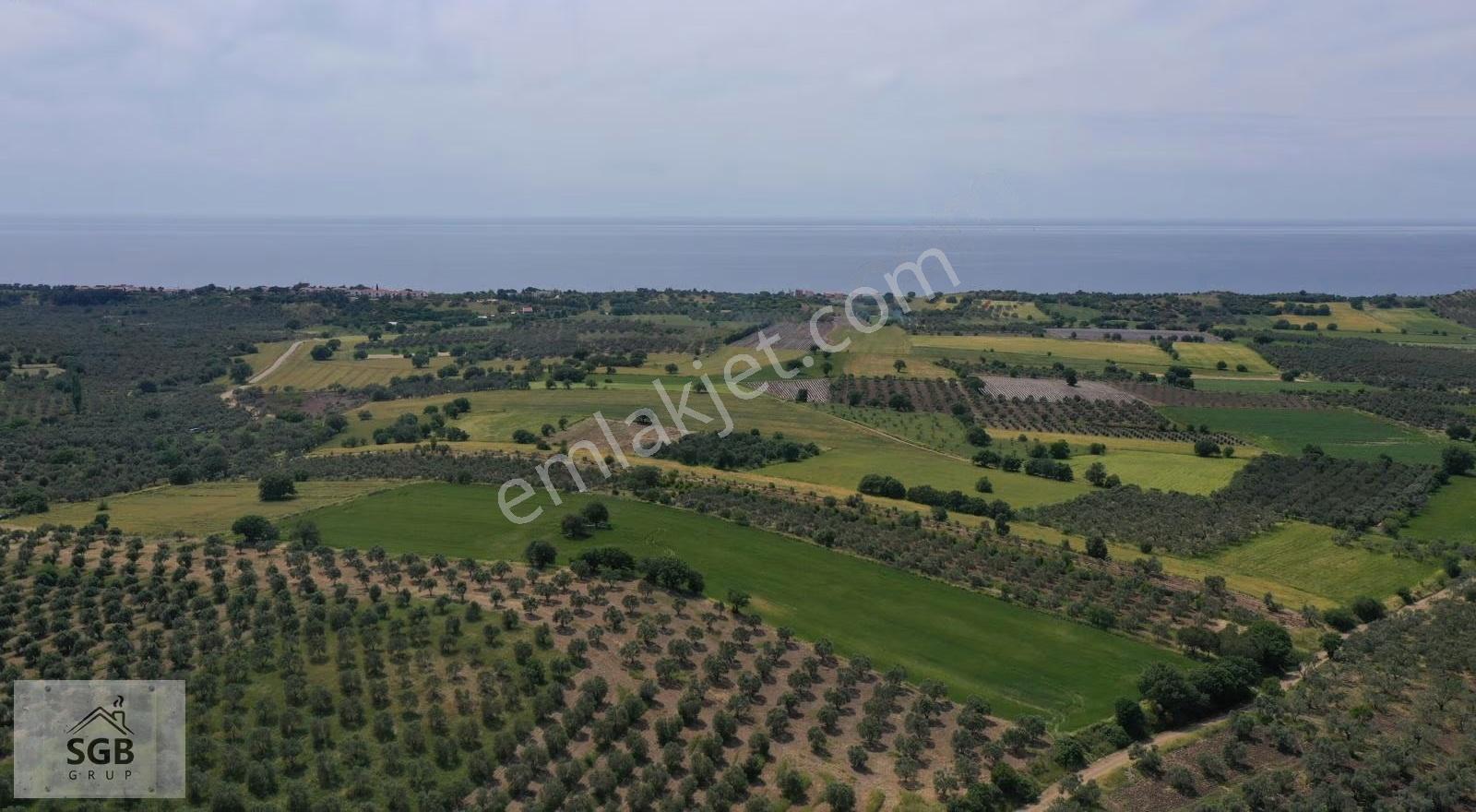 Çanakkale Ezine Alemşah Köyü Satılık Tarla - Görsel 30