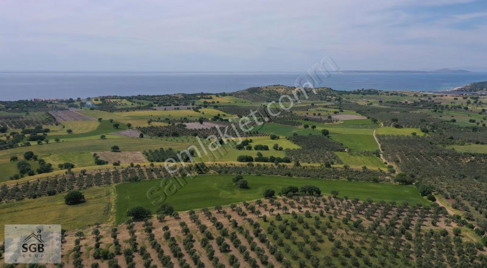 Çanakkale Ezine Alemşah Köyü Satılık Tarla - Görsel 6