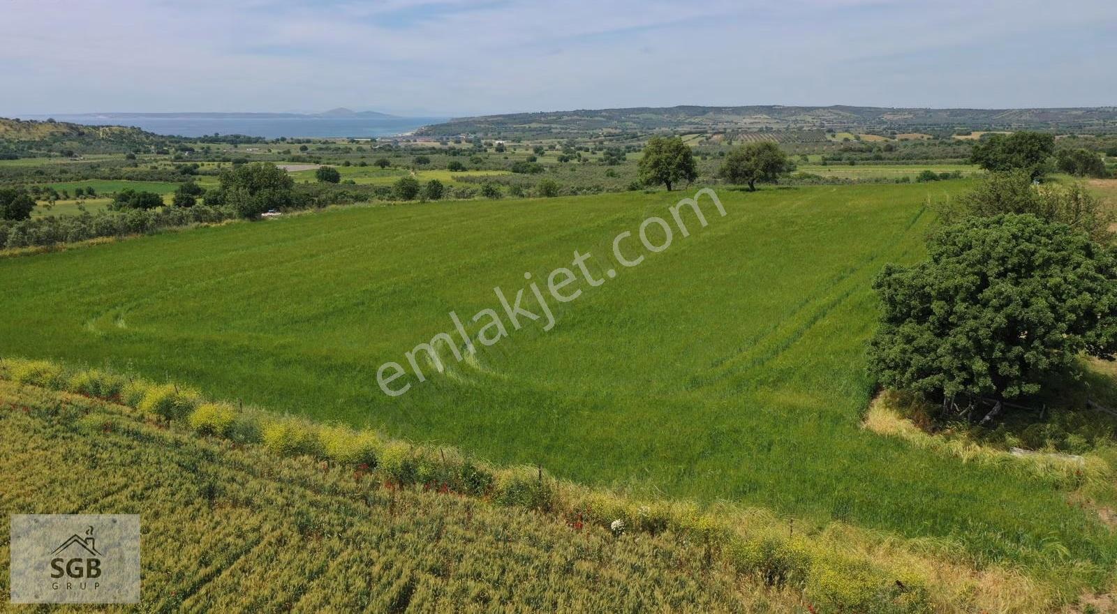 Çanakkale Ezine Alemşah Köyü Satılık Tarla - Görsel 13