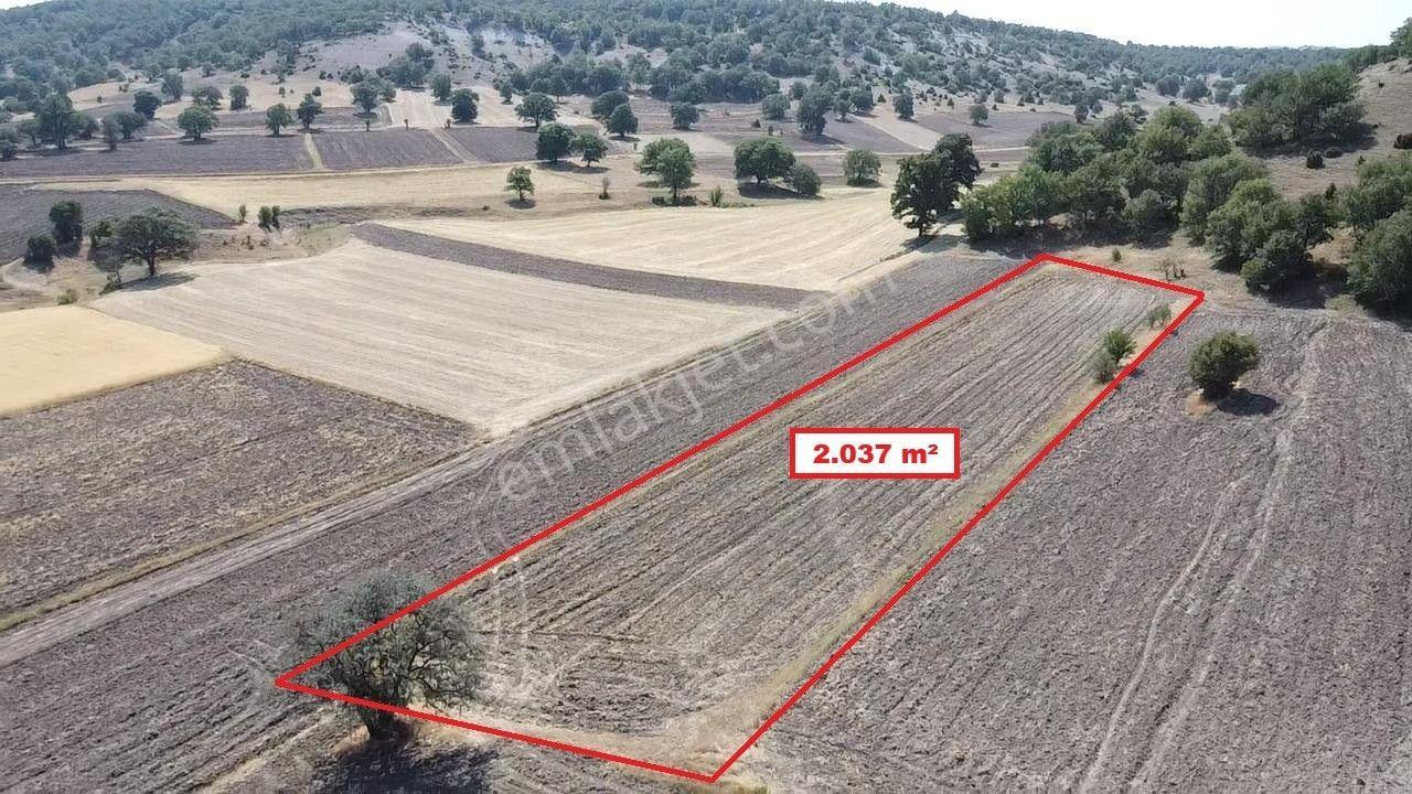 Kütahya Merkez Uluköy' De 2037 M2 Satılık Tarla - Görsel 10