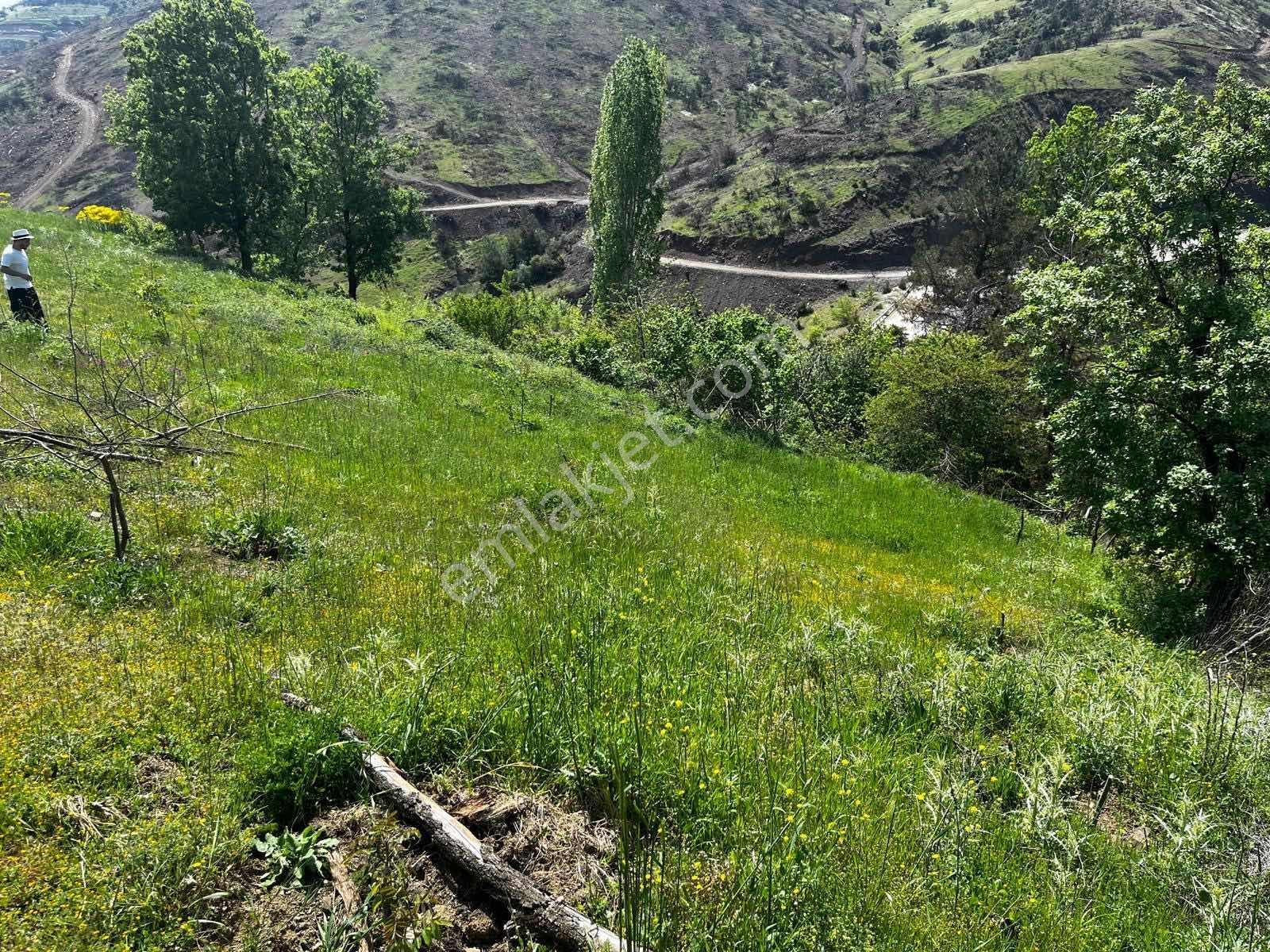 Gürsu Dışkayada Ana Yola Cephe Manzaralı 2.000 M² Hobi Arazisi - Görsel 11