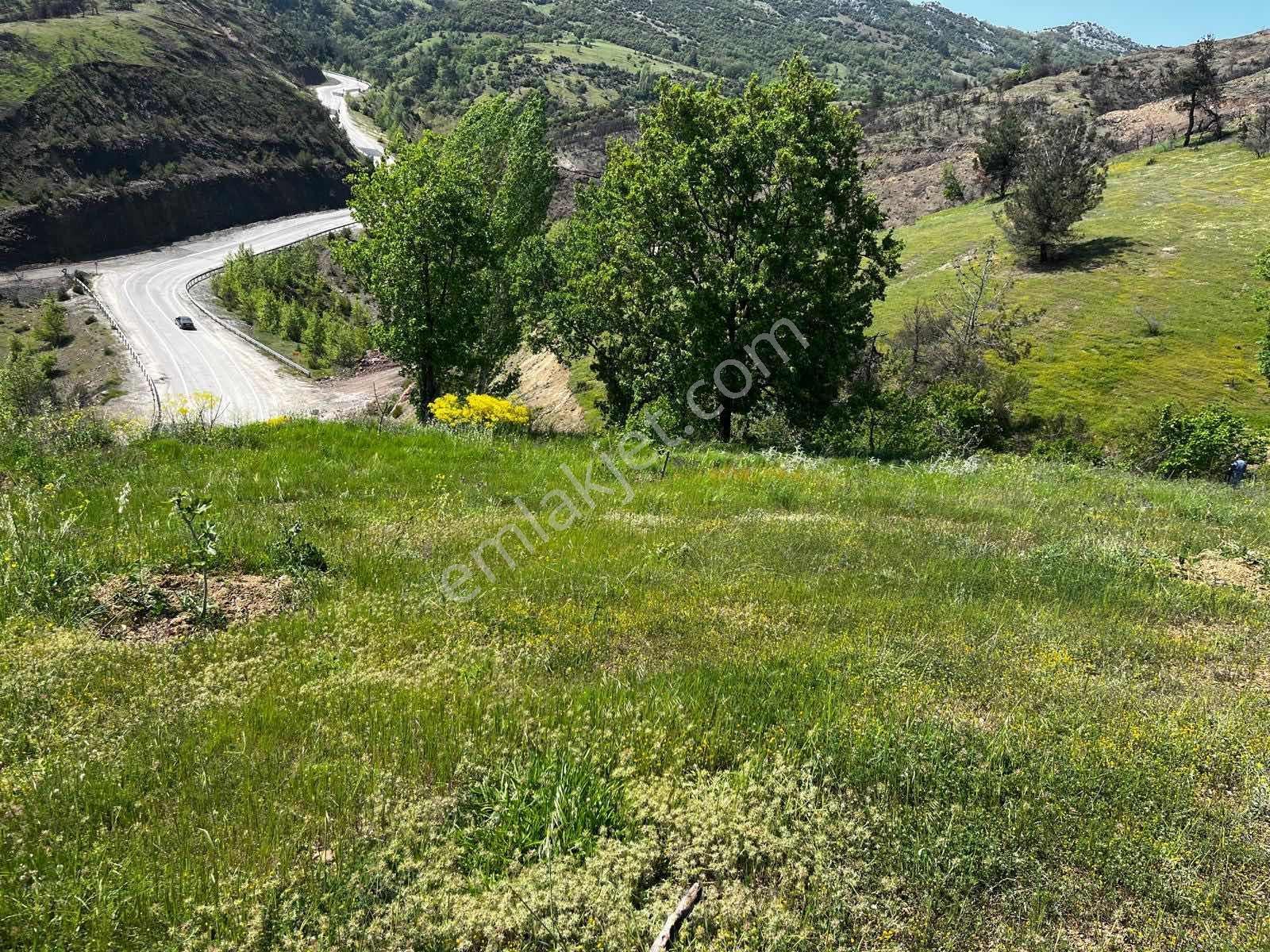 Gürsu Dışkayada Ana Yola Cephe Manzaralı 2.000 M² Hobi Arazisi - Görsel 18