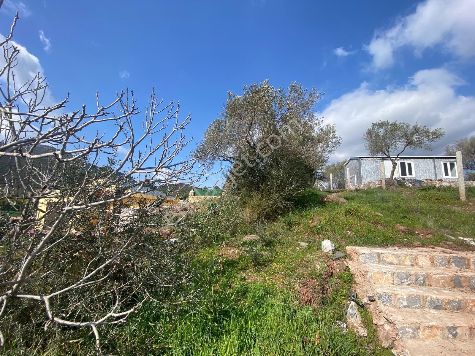Seferihisar Doğanbey Kavakdere De Satılık 300 M2 Kupon Arsa - Görsel 17