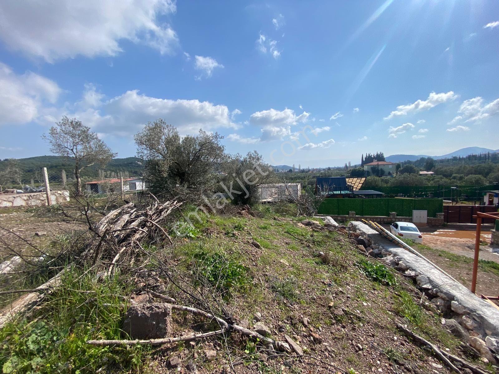 Seferihisar Doğanbey Kavakdere De Satılık 300 M2 Kupon Arsa - Görsel 7